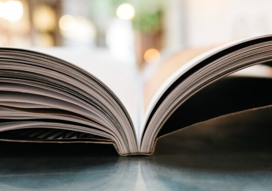 bokeh photography of open book